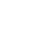 دليل white whale